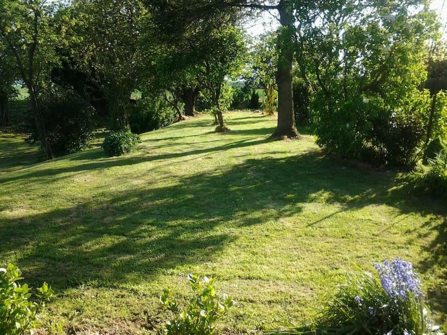 Gite A La Campagne Mailly-Maillet Buitenkant foto